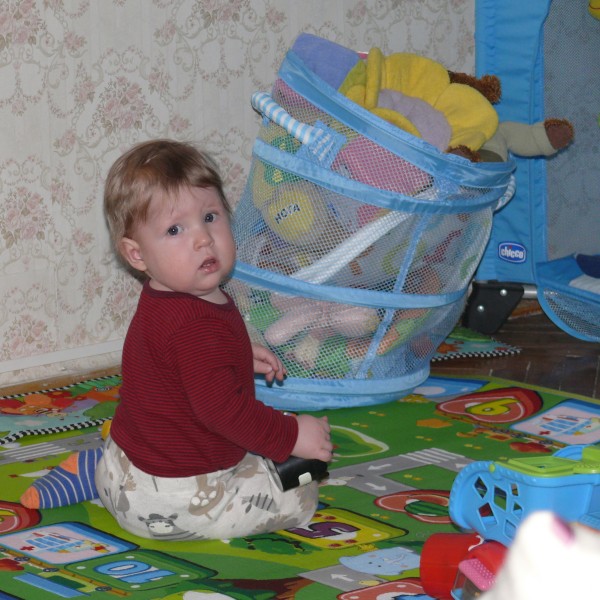 Захар и корзина