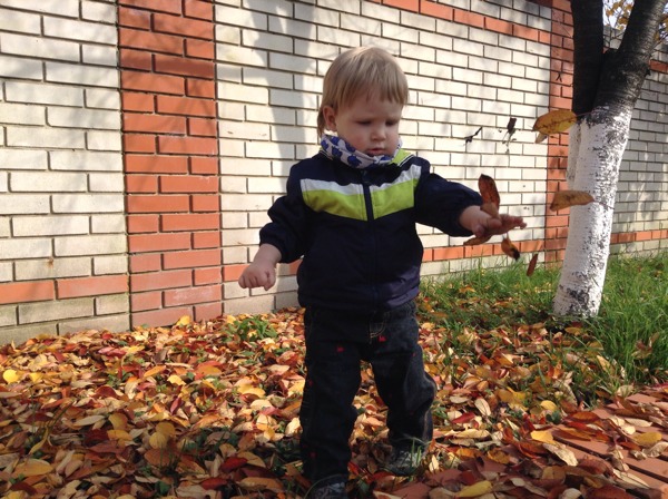 Захар и листики