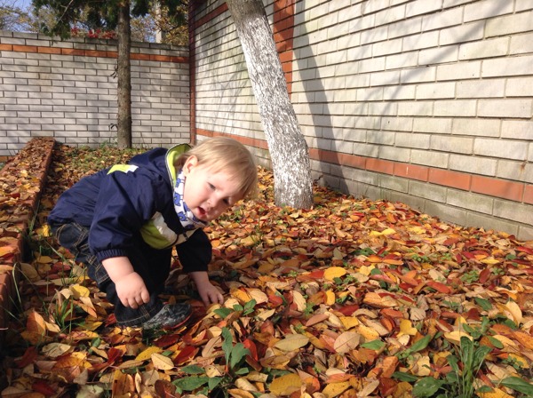 Захар и листики