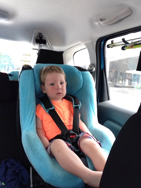 Путешественник