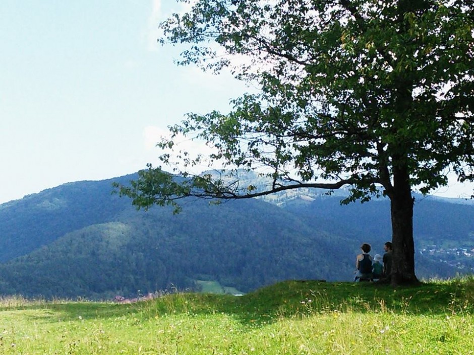 10409470_10204373403244648_3646040279460845896_n