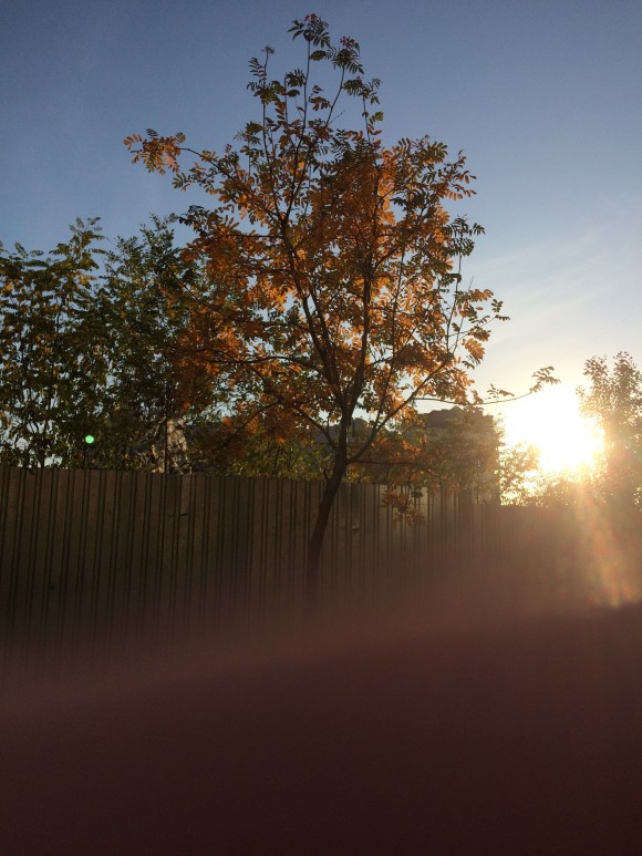 62A432C0-90FC-4A6D-A3D2-A6637977F04A