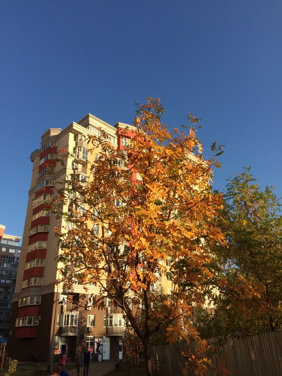 A29ECEAD-CBC2-4C5E-9CBD-B3991D33FCF5