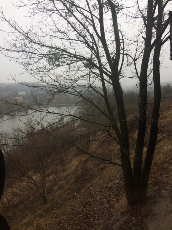 EB1A653B-3F91-4B3F-AE8F-3D3A4A0247CB