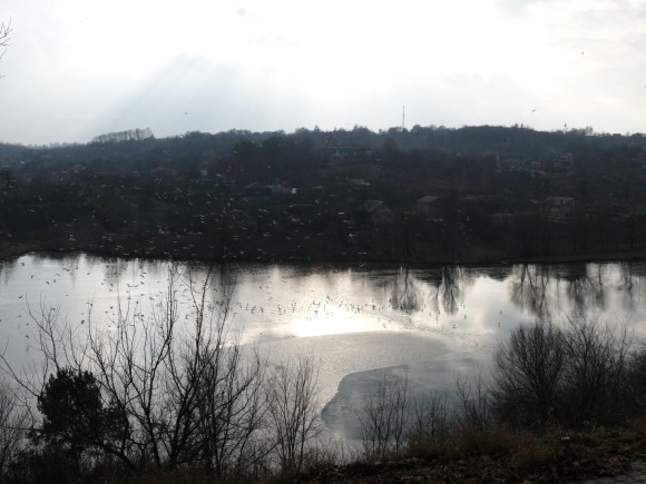 FAF990E8-A5EA-467F-BE25-080584446E0F