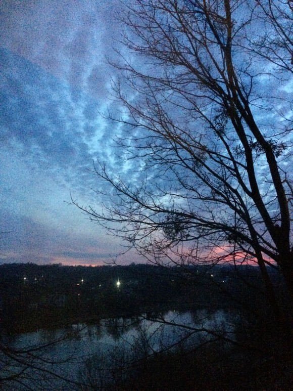 38B2C402-7F98-4300-9297-15AD0D3AEE42