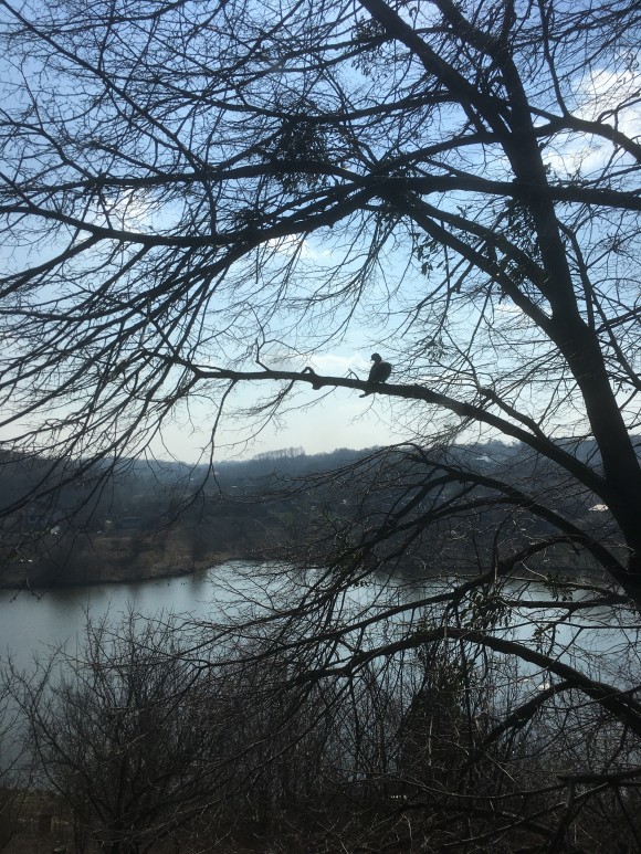 00F88299-7074-4972-B4C3-1321BF4D2862