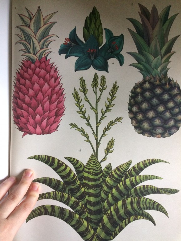 409FAB77-EF82-4949-B6D1-BD17B9A47A51