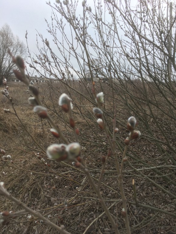 7746652B-3BEC-4E11-9589-9DCBB4DE03E8