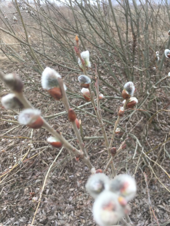 95184FCE-2DF0-4158-8583-84E1189512FC