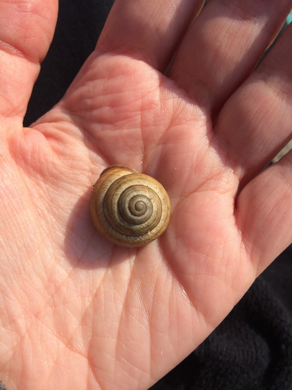 A5D6EAE3-41BC-4F2D-8984-5C3752227E27