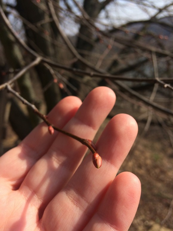 BC40CD25-6792-482A-9B79-17887A5F026A