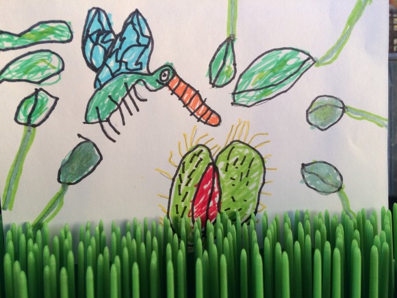 2455A1C8-FC7C-49EC-857F-8C06CDA4C3C7