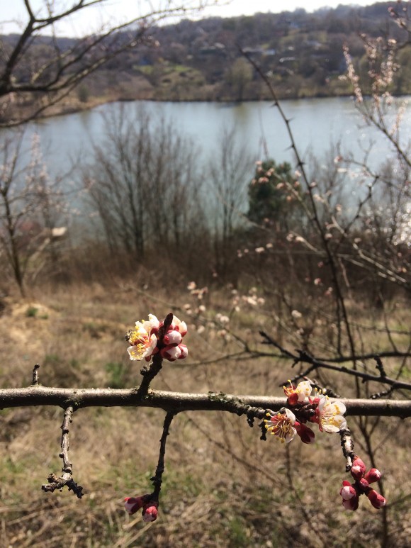 2649555F-8903-4893-8DCE-ACBE22CF5AF8