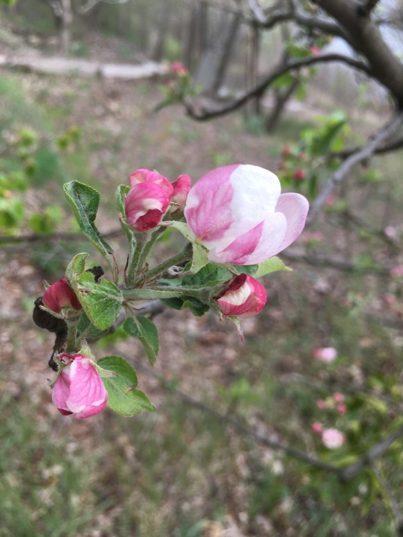 2FD82F9D-D3B6-43DA-9C9D-2A5AFB034F5A