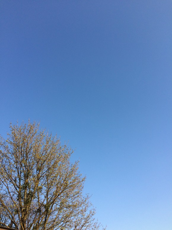 45D1E6FE-9B2D-4F28-85D8-69136C4390B7