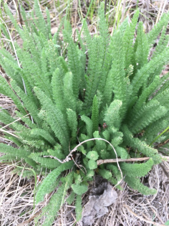 59B2BE4C-47EC-474A-AA4B-5F76D595B497