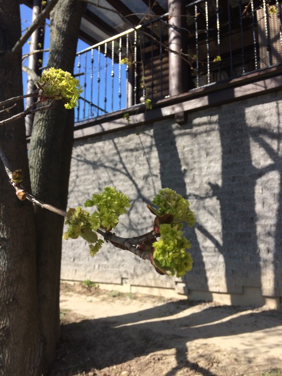 5BE0DDA7-9F1A-4D6B-A2A0-473F764AD2CE