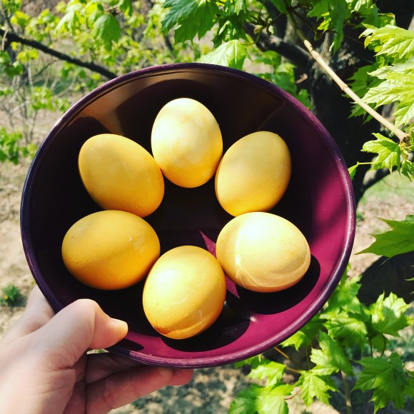 69DA96EE-DB4C-438A-9380-3A4DA797AD15