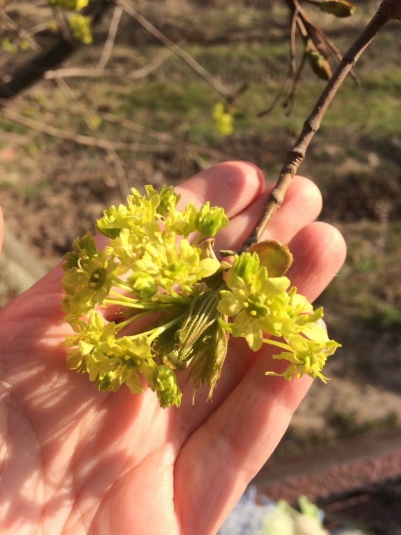 71C93050-12B1-4CCA-99BB-9F153F83E82C