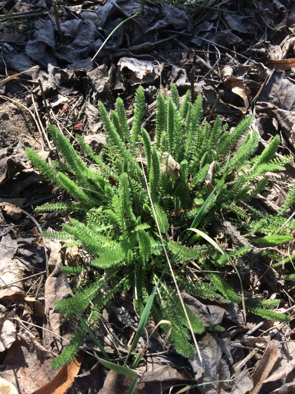 A2DB459F-3811-4470-A986-048919DD492A