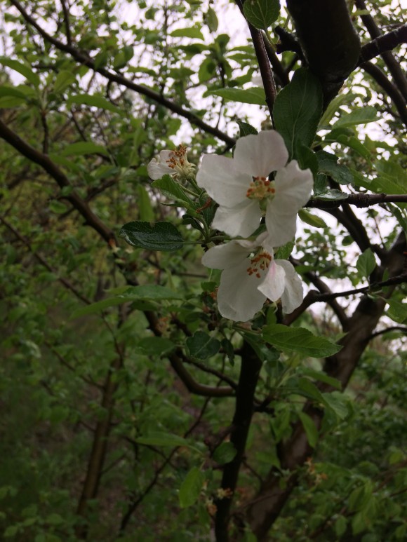 35FA248F-9121-4455-93FF-4FD76B086EFB