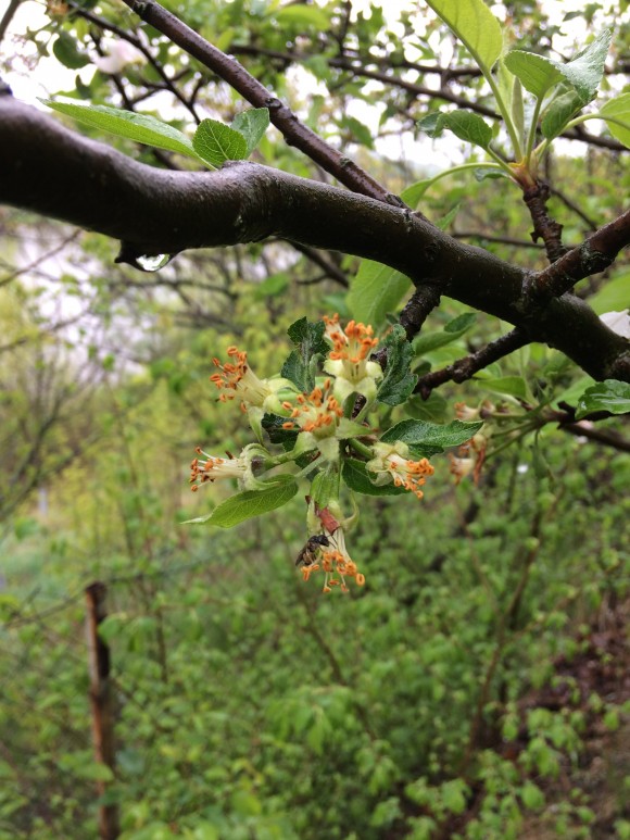 3EA7865D-FB35-4945-A47D-B2B3087511A2