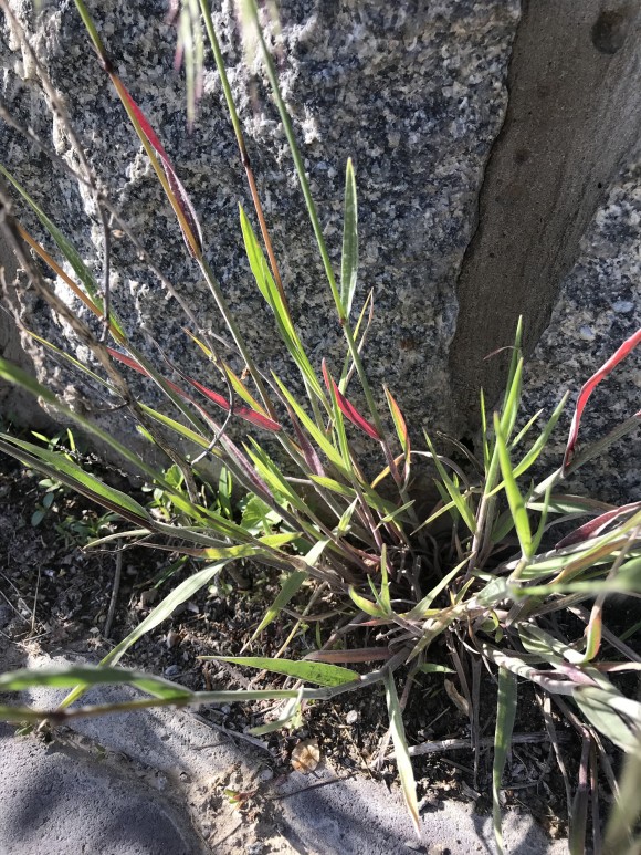 589CB736-135D-424D-A1CD-3E3D157962C8