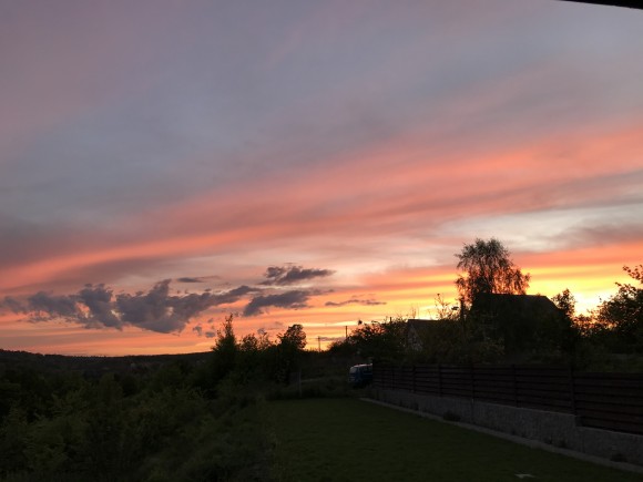 699E3251-A2B9-4A4D-953F-621E11EFF479