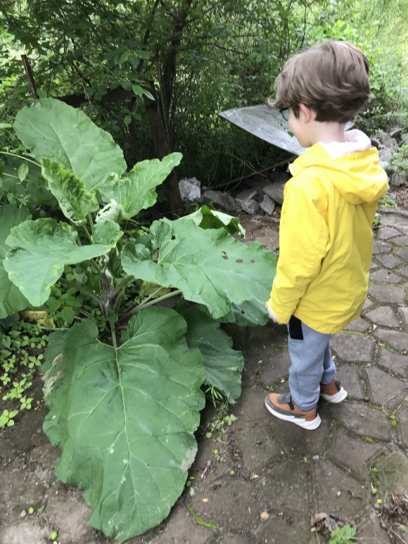 845EB542-21C3-4DF1-A55A-BE5FEA5DDC70