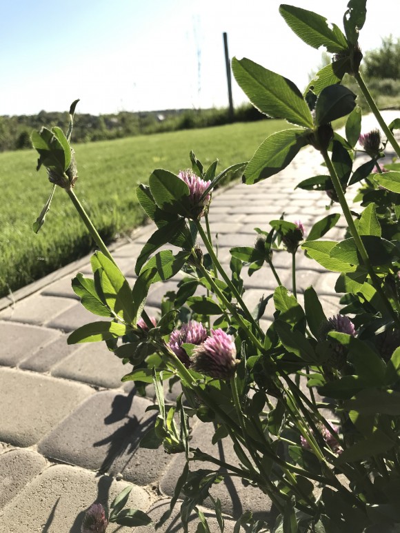 8797600D-8D41-4F32-9992-964F03011942