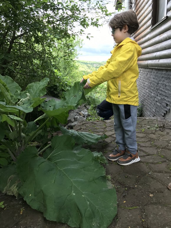 8865A3FA-0AB0-4D65-A743-50786957C8C3