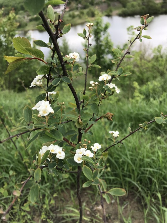 95F48808-0E4F-4DB4-82A2-BFFF3153073D