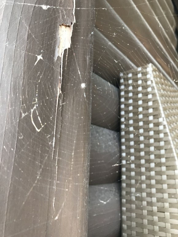 A0D84A3A-802D-4184-8D0B-7A8D3CD502AE