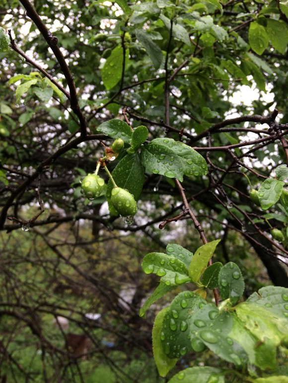 A11A598D-9616-4174-B45C-1629943091E6