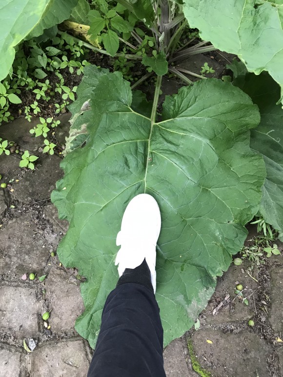 A58CB1AB-088B-418C-A994-3D0905680461