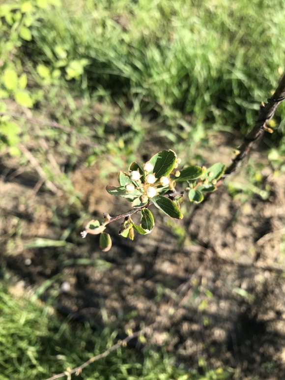 A7240131-303E-42F0-9B81-59E4A5139016