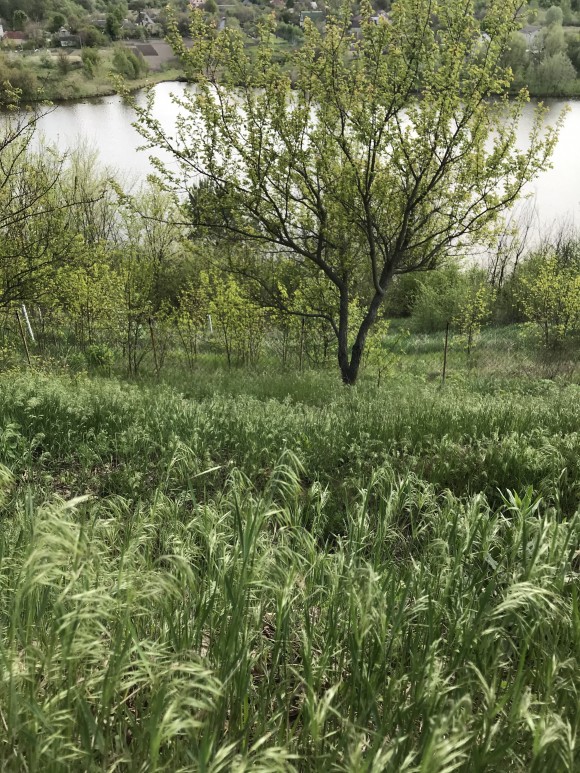 C096DD22-AE15-4A8C-992C-F1E1593E12D5