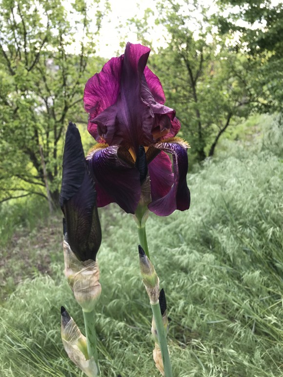 C2C6F863-9ABE-45A0-BCD6-F245430FEFCD