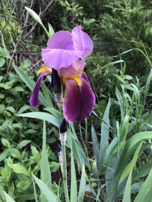 F977900C-17E3-44F9-94DA-DE134B5F59FC