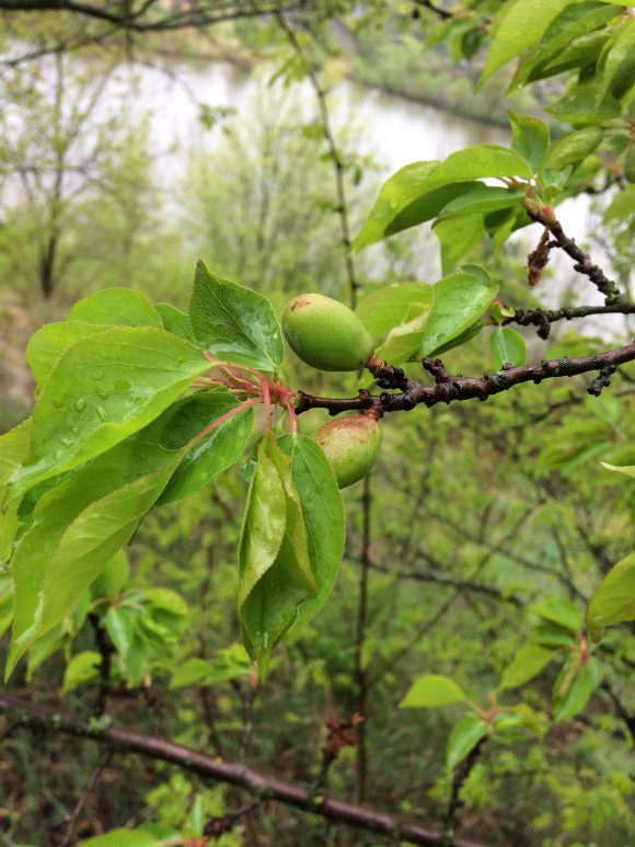 FB45BE41-A2DE-4705-968D-0C8D1084F61E