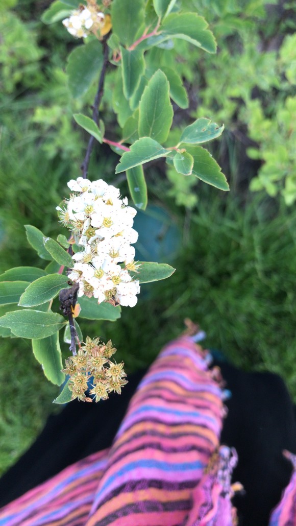 14085254-2AE6-433E-9383-DD2D5C0CA00D