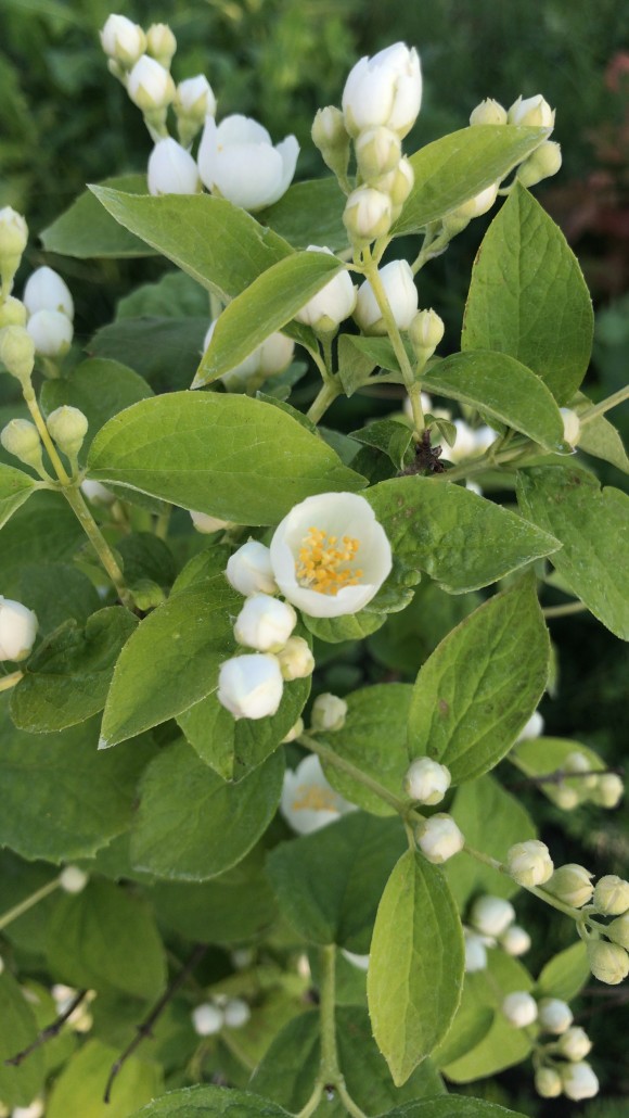 2BBE9C4D-AE35-4C0B-A6C3-3DAE733A9EC1