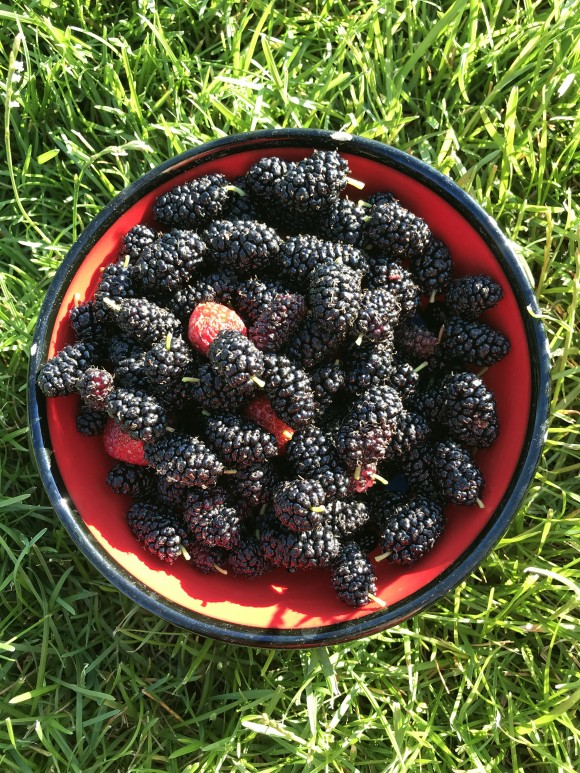 AF636CE9-EE6B-4CA4-9526-D683AF6C4B2E