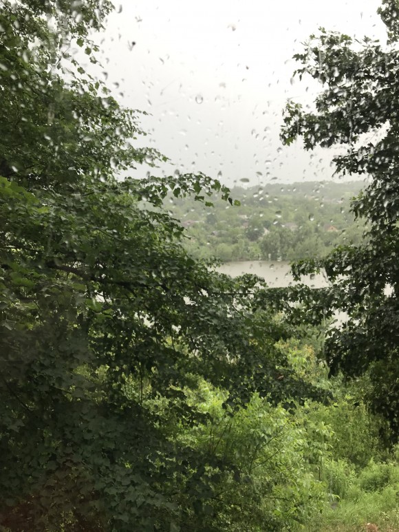 E1A2F477-5A6D-4538-B2B5-5771441EA20E