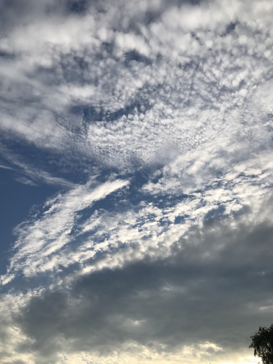 2D681A5B-0836-4835-845D-9D80855AB36F