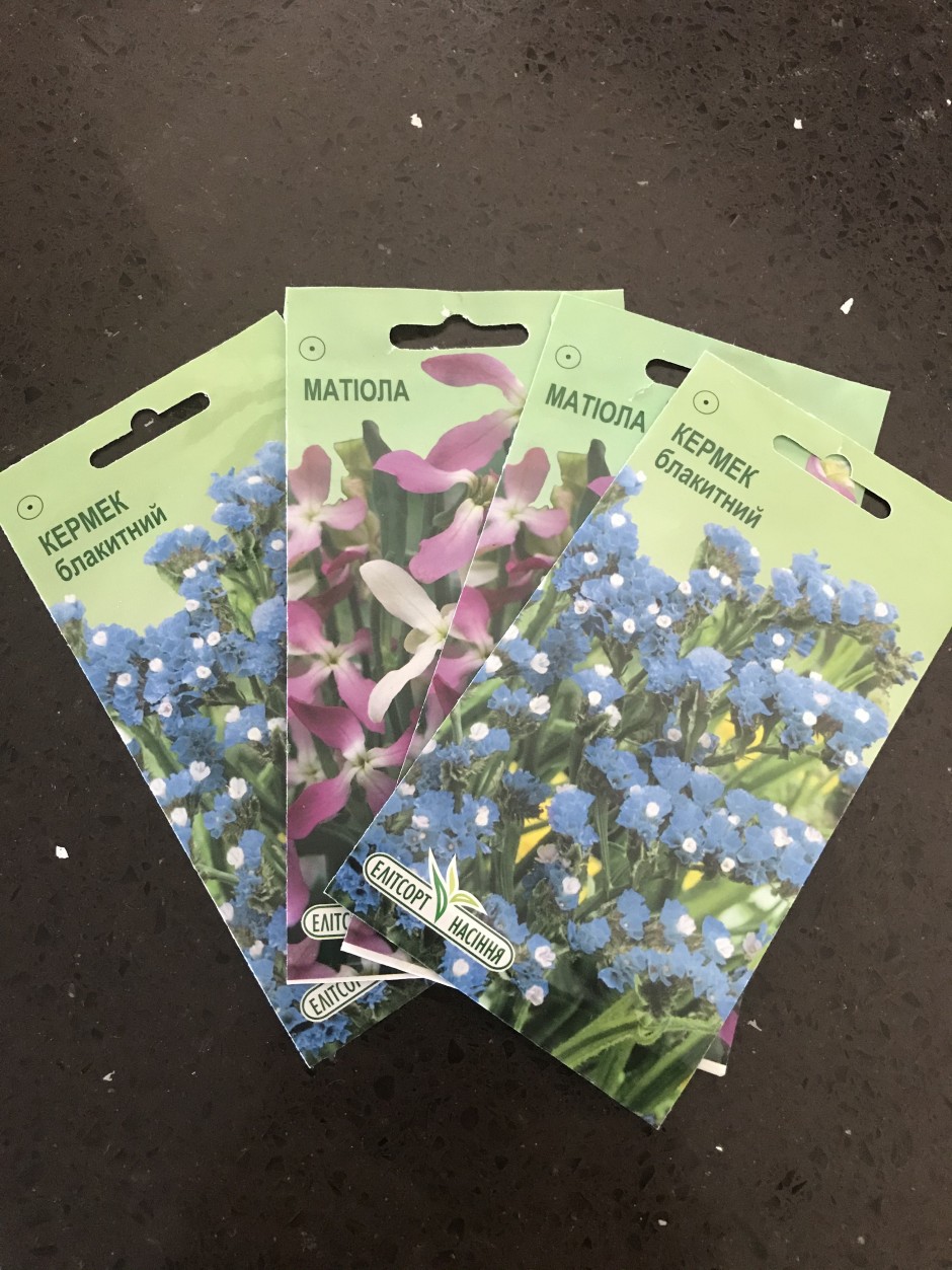 36EBBA41-ECA2-4C38-875C-5054CDAD415B