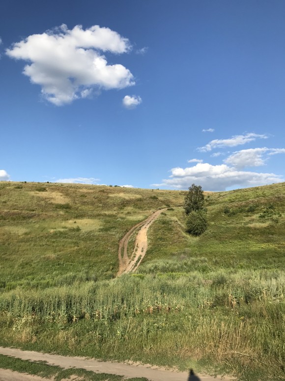 C7005EBB-8082-4604-8D19-08857570B7C8