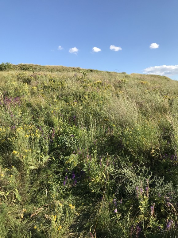 C78787CC-65B5-485A-8537-B6E72910CFA8