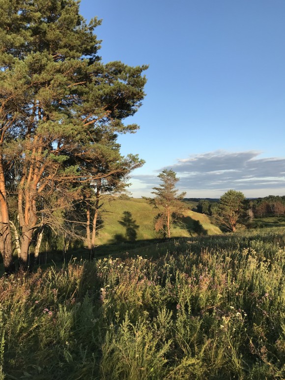 2479D4E0-8B2D-4BF1-B92F-17C417207FBC